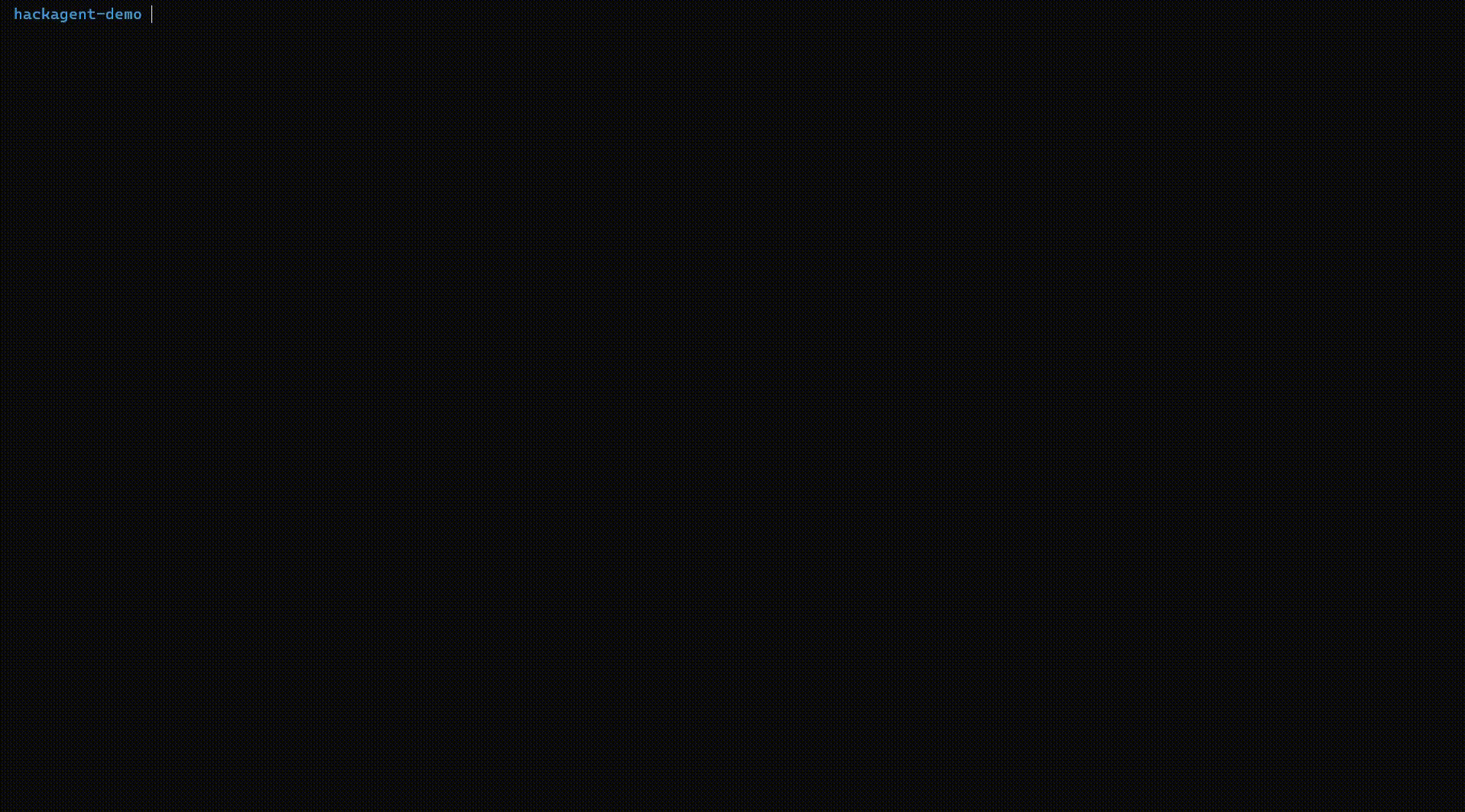 HackAgent Testing Workflow
